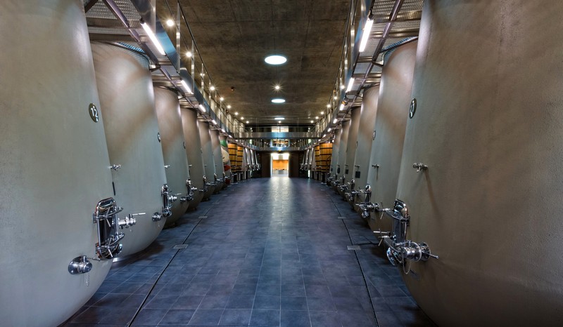 Philippe Starck’s wine cellar for Château les Carmes Haut-Brion-6