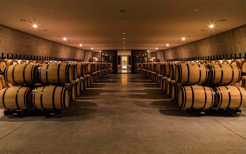 Philippe Starck’s wine cellar for Château les Carmes Haut-Brion-3