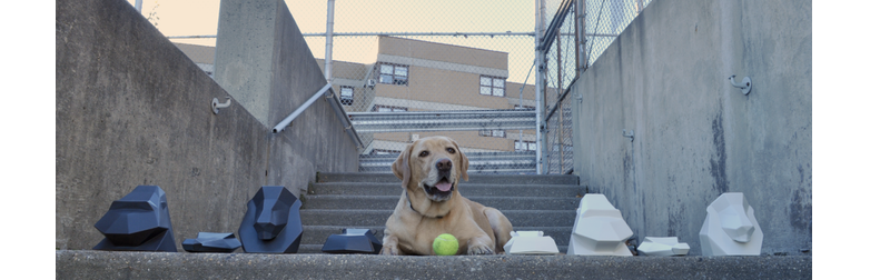 AD Show 2017: Meet The Alluring Project Safari Collection By Bronsen