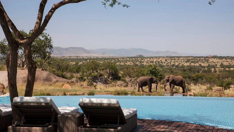 Be In Touch with Nature In the Four Seasons Safari Lodge Serengeti 7