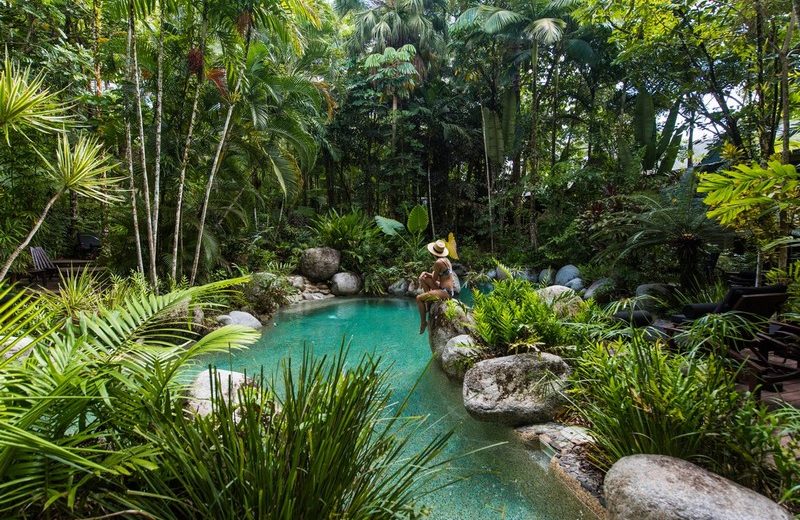 Lose Yourself in Nature in Silky Oaks Lodge. To see more news about luxury travel, subscribe our newsletter right now! #silkyoakslodge #healingwatersspa #silkyoakslodgeandhealingwatersspa #luxuryvacations #bestecolodges #australiatravel