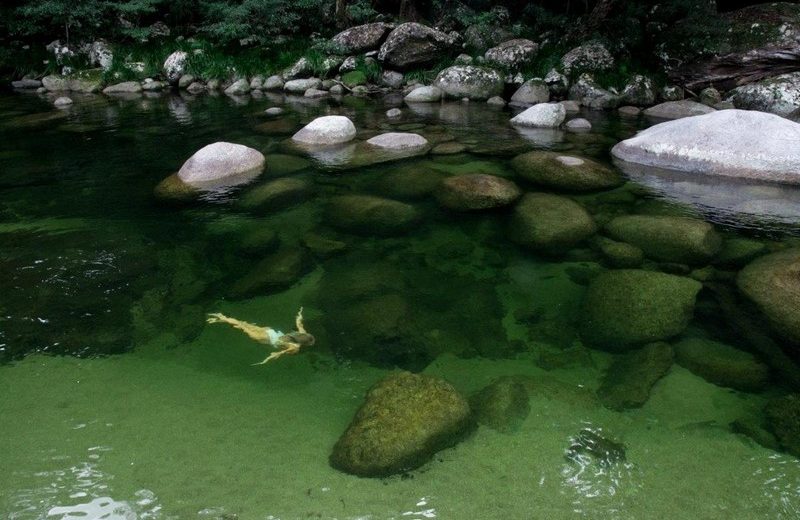 Lose Yourself in Nature in Silky Oaks Lodge. To see more news about luxury travel, subscribe our newsletter right now! #silkyoakslodge #healingwatersspa #silkyoakslodgeandhealingwatersspa #luxuryvacations #bestecolodges #australiatravel