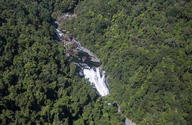 Lose Yourself in Nature in Silky Oaks Lodge. To see more news about luxury travel, subscribe our newsletter right now! #silkyoakslodge #healingwatersspa #silkyoakslodgeandhealingwatersspa #luxuryvacations #bestecolodges #australiatravel