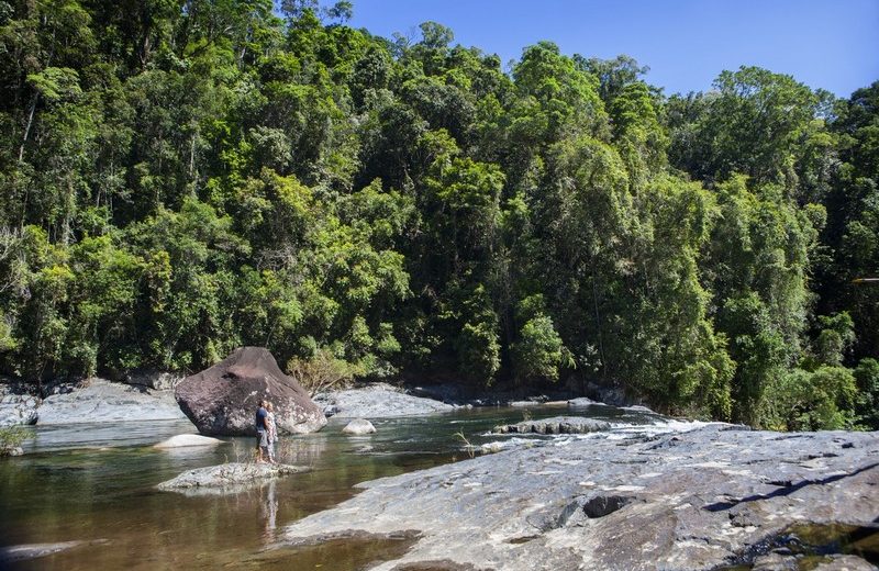 Lose Yourself in Nature in Silky Oaks Lodge. To see more news about luxury travel, subscribe our newsletter right now! #silkyoakslodge #healingwatersspa #silkyoakslodgeandhealingwatersspa #luxuryvacations #bestecolodges #australiatravel