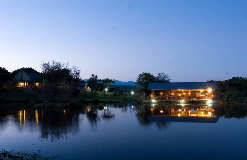 Discover the Uniqueness of the Magical Plettenberg Bay Game Reserve 1