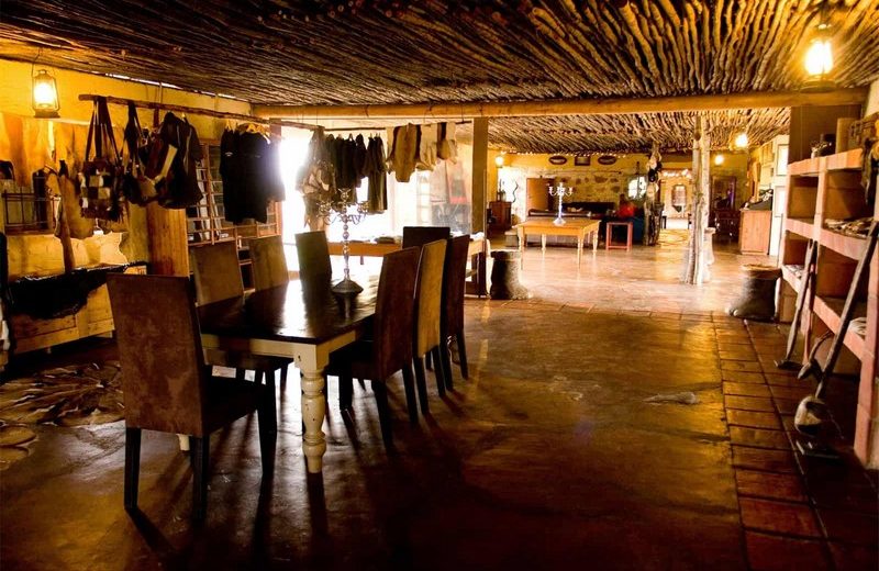 Discover the Uniqueness of the Magical Plettenberg Bay Game Reserve 3
