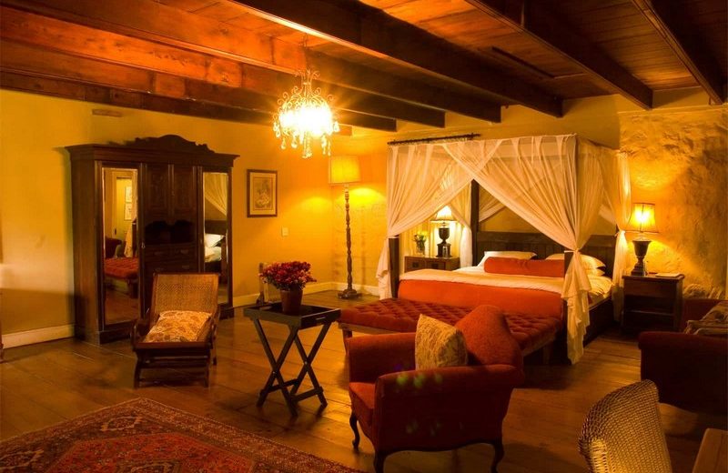 Discover the Uniqueness of the Magical Plettenberg Bay Game Reserve 6