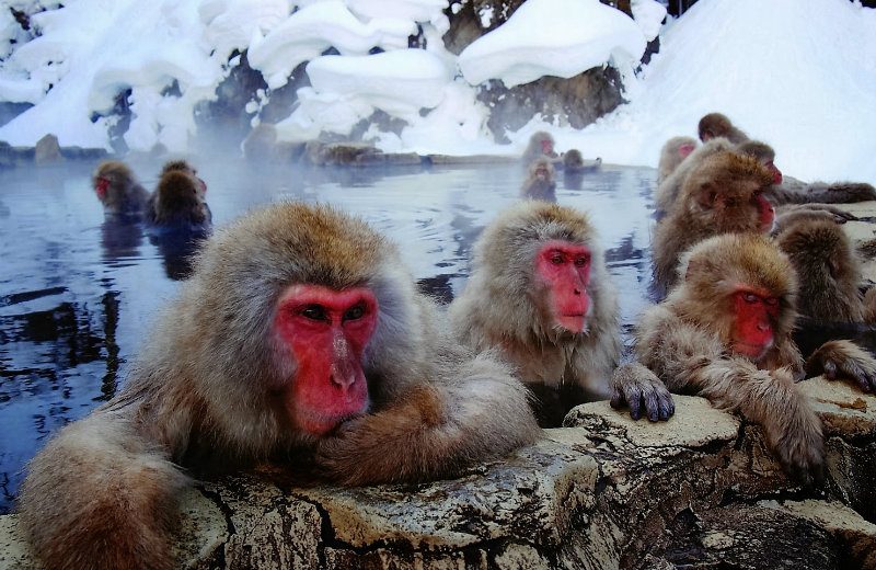 Five Out Of The Box Winter Vacation Spots For Your Snowy Delight 