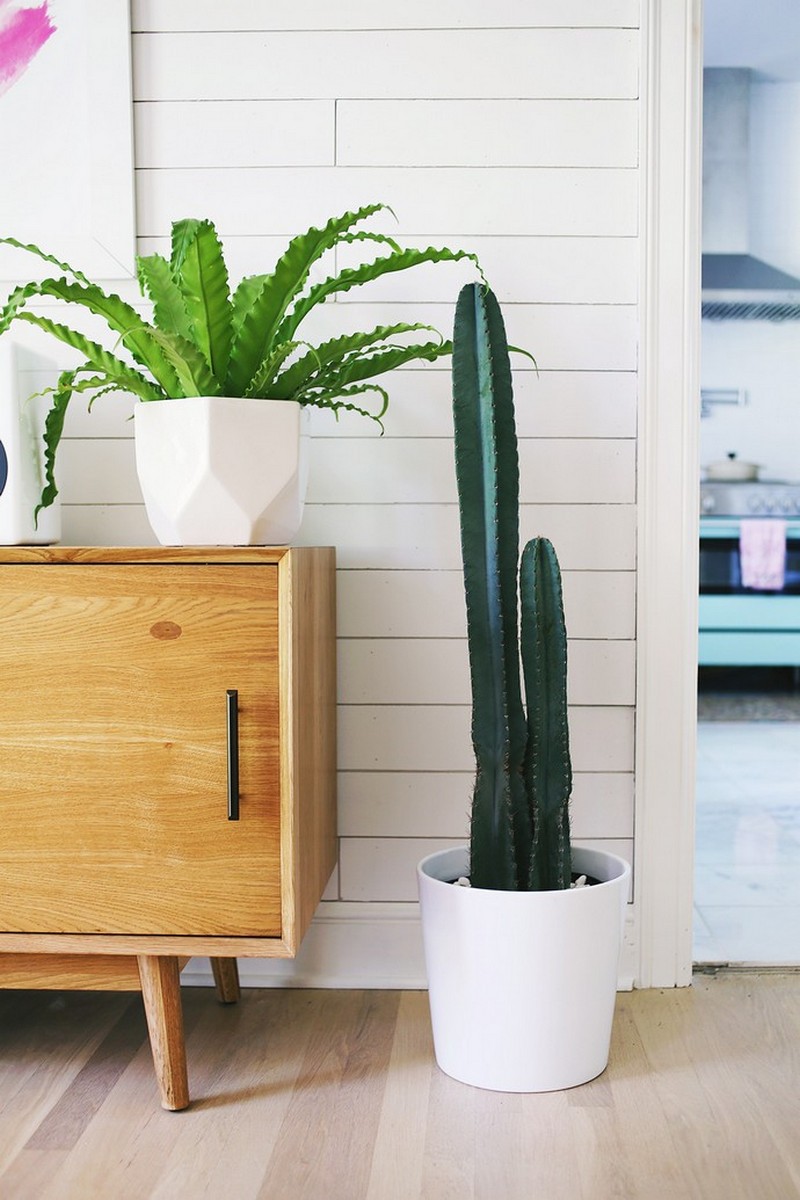 Get Inspired with This Luxury Summer Decor Trends 4