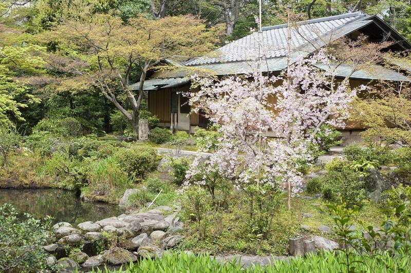 The Ultimate Tokyo Travel Guide For Design Lovers