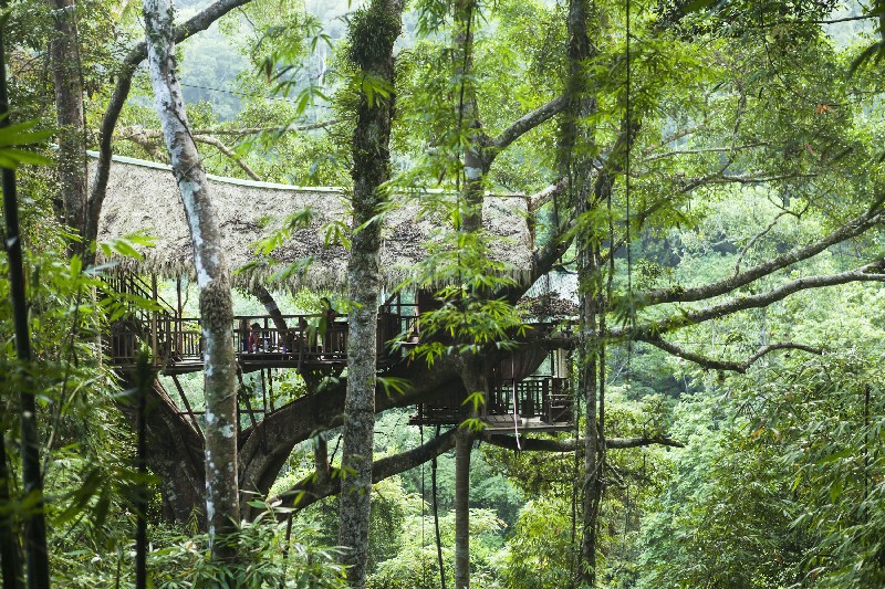 Discover 7 Eco-Friendly Luxury Treehouses You Will Love To Stay In