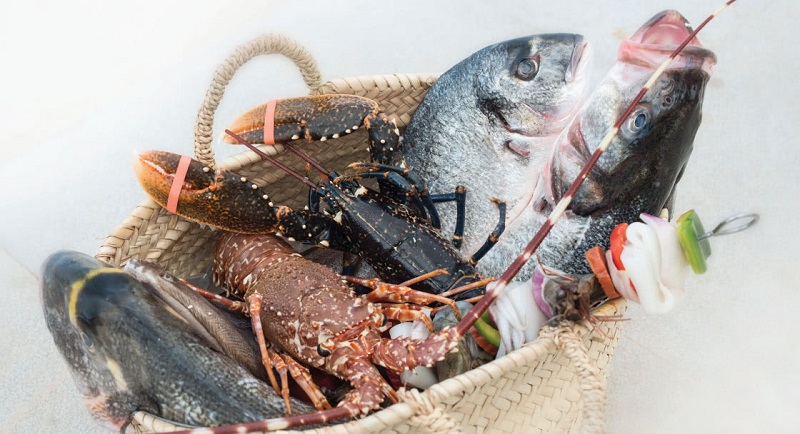 Secrets from Portugal: Ria Restaurant at Anantara Vilamoura ➤ #covetedmagazine #secretsfromportugal #luxuryhotel #riarestaurant #anantaravilamoura ➤ www.covetedition.com ➤ @covetedmagazine @bocadolobo @delightfulll @brabbu @essentialhomeeu @circudesign @mvalentinabath @luxxu @covethouse_ @rug_society @pullcast_jewelryhardware @bybrabbucontract