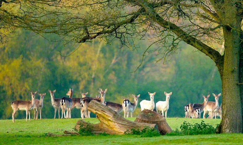 Luxury Travel Guide: The 10 Most Beautiful Places to Visit this Fall ➤ #covetedmagazine #interiordesign #homedecor #luxurytravelguide #luxurytravel #secretsfromportugal ➤ www.covetedition.com ➤ @covetedmagazine @bocadolobo @delightfulll @brabbu @essentialhomeeu @circudesign @mvalentinabath @luxxu @covethouse_ @rug_society @pullcast_jewelryhardware @bybrabbucontract Luxury Travel Guide