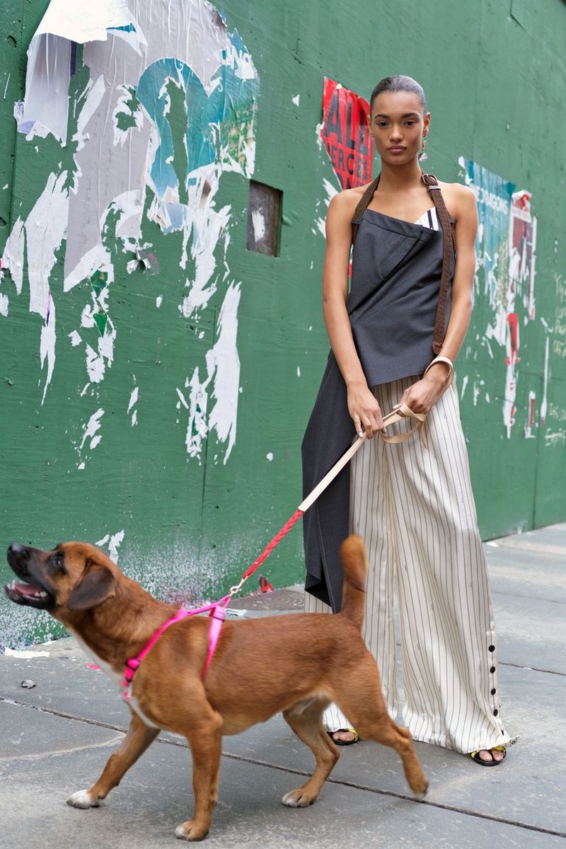 Monse 2019 Pre-Fall Campaign Raises Awareness to Stray Pups