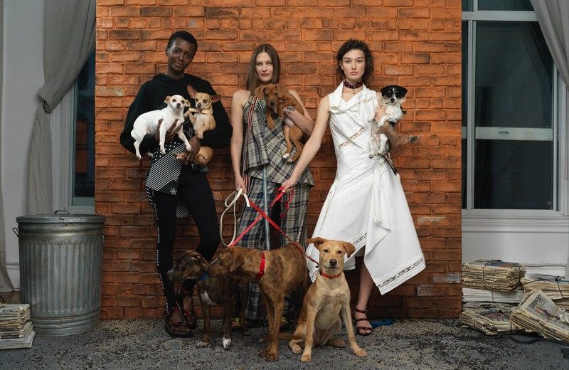 Monse 2019 Pre-Fall Campaign Raises Awareness to Stray Pups