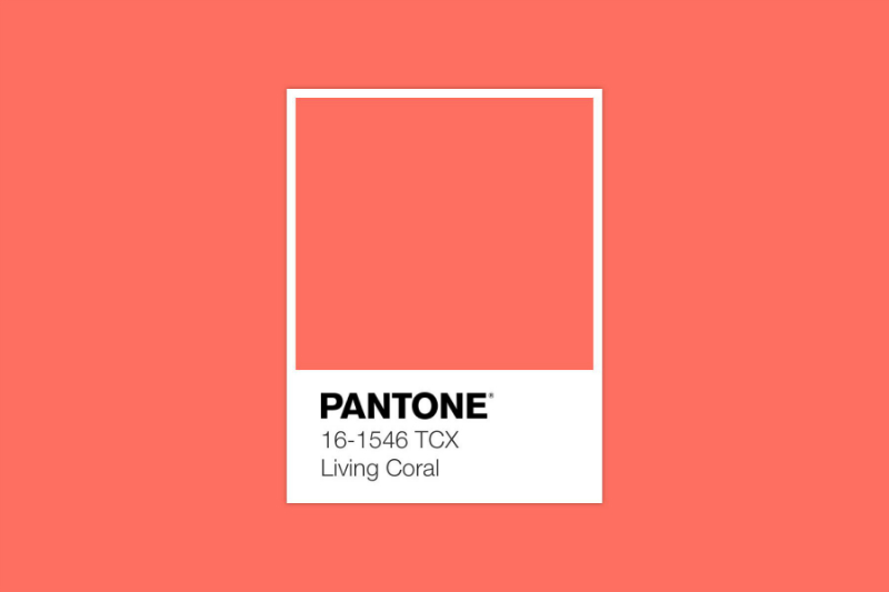 Pantone Announces Living Coral As The Colour of The Year 2019