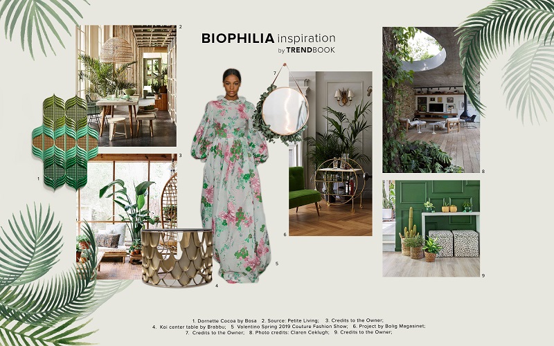 Biophilia Trend Color Scheme Moodboard Collection