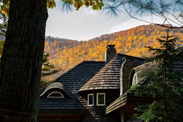 Designer of the Day: Samuel Amoia 